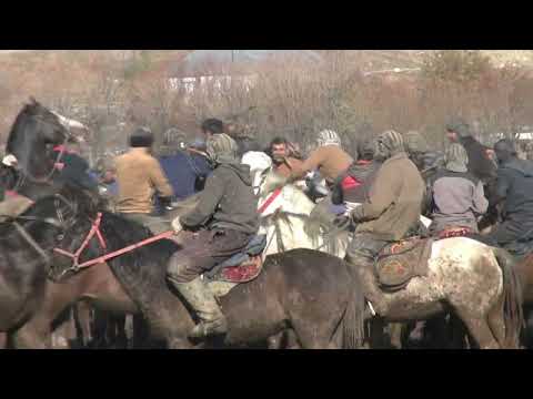 Видео: БЕХТАРИН МУСОБИКАИ БУЗКАШИ ДАР ЧАМОАТИ ДЕХОТИ САГИРДАШТ КИСМИ 2