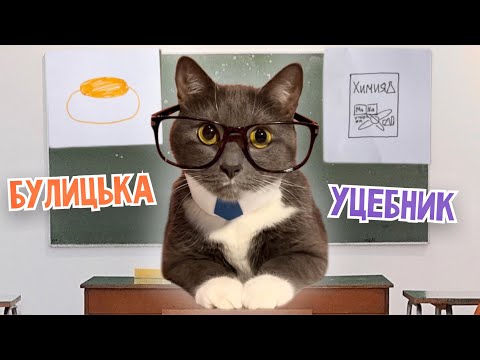 Видео: ЕСЛИ БЫ КОТИКИ ХОДИЛИ В ШКОЛУ - ЧТО ВАМ БОЛЬШЕ ВСЕГО НРАВИТСЯ В ШКОЛЕ?