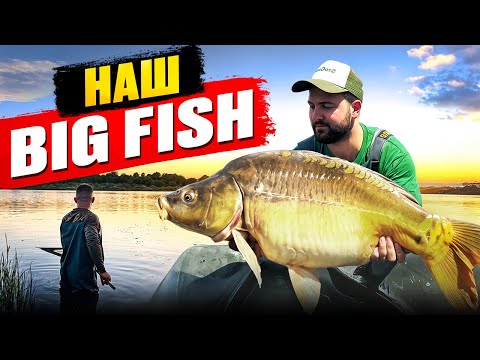 Видео: ТРОФЕЙНА РИБОЛОВЛЯ на коропа | BIG FISH 14+ | @StoGram Fishing