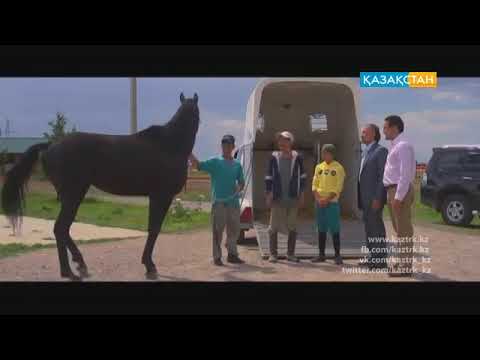 Видео: (Сұңқар) Телехикая 4Бөлім