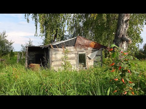 Видео: 900 км по северным рекам. 24 дня один в тайге. Ч3. Упал в колодец. Лесная изба. Поход, сплав. Печора