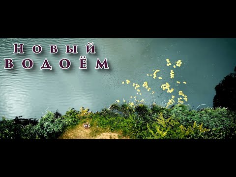 Видео: Карпфишинг Классическая рыбалка.