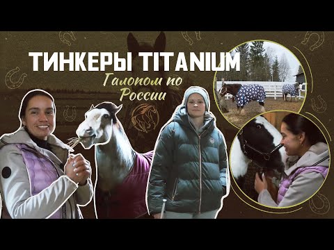 Видео: ТИНКЕРЫ в конном хозяйстве Titanium