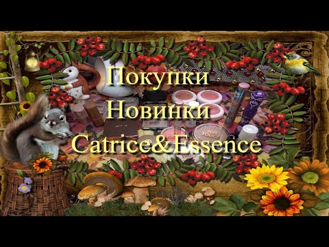 Видео: Покупки косметики 🍁 Новинки Catrice и Essence