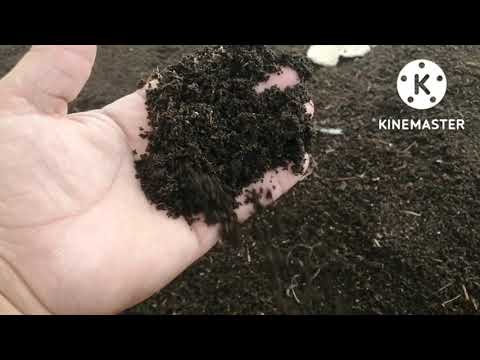 Видео: биогумус а чоми