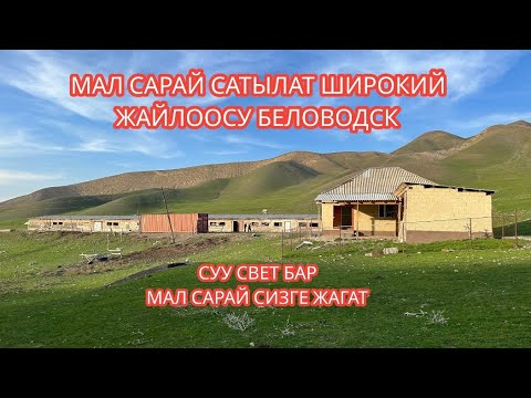 Видео: МАЛ САРАЙ САТЫЛАТ ШИРОКИЙ ЖАЙЛООСУ БЕЛОВОДСК 2024