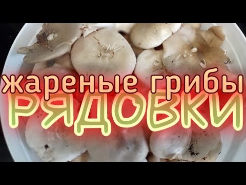 Видео: рядовки  как их правильно жарить.Очень Вкусный Рецепт.Кулинарный кайф