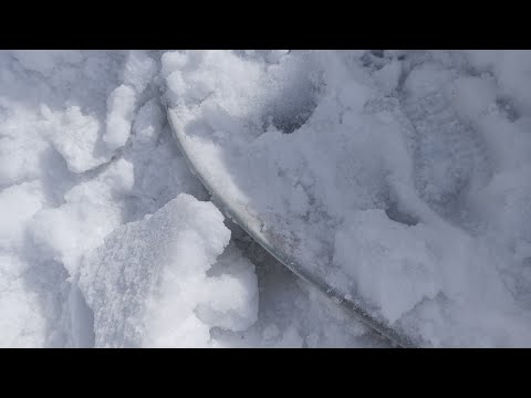 Видео: Розы 😢😢 Укрытия не выдержали😪, Розарии раздавлены😰  Дуги сломаны😰