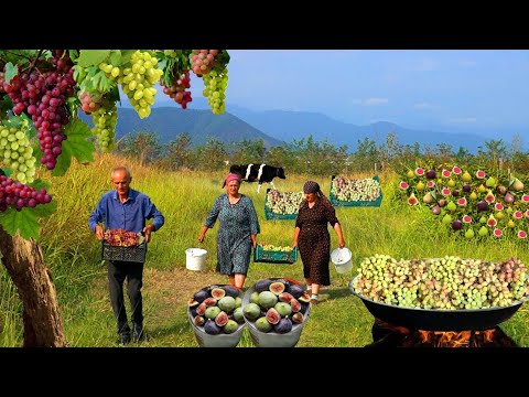 Видео: Сбор свежих фруктов в деревне - 1 час лучших фруктовых рецептов