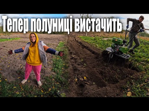 Видео: 💪Посадили 400 саджанців полуниці та суниці || Перекопали городину мотоблоком під посадку