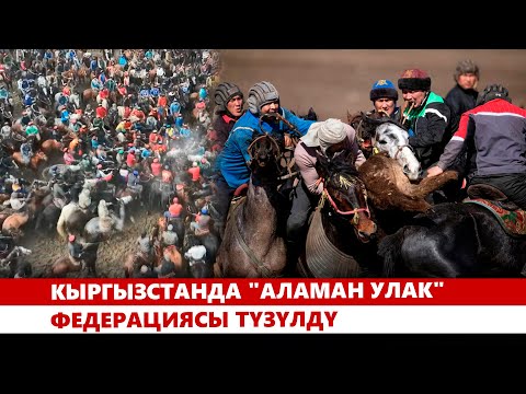 Видео: Кыргызстанда "Аламан Улак" федерациясы түзүлдү