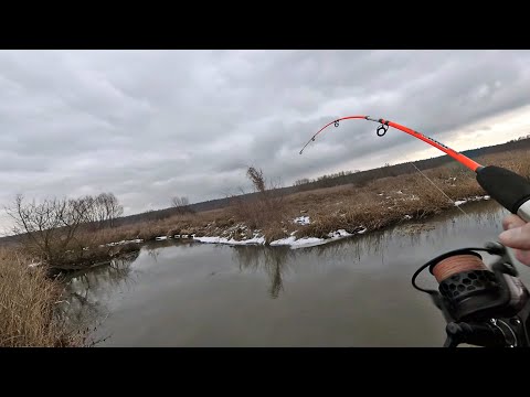 Видео: Короткий "КРОКОДИЛ" 120 СМ. Щука скоро попрёт на спиннинг по полной!