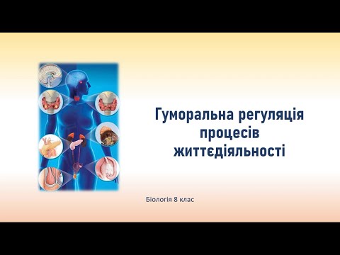 Видео: Біологія людини. Гуморальна регуляція процесів життєдіяльності