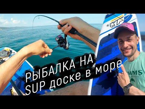 Видео: Ловим Морского Дракона и ставриду на сап доске в Черном море.