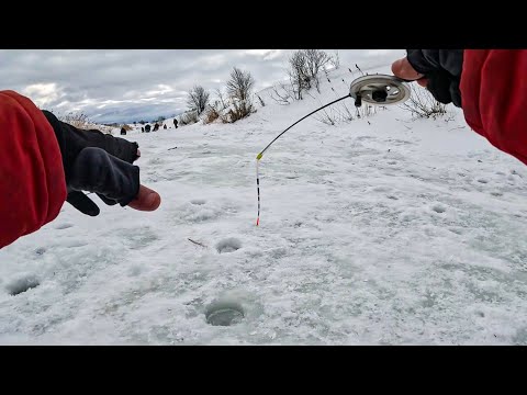 Видео: В СТОРОНКЕ от ТОЛПЫ НАШЛИ КУЧУ РЫБЫ. Плотва, голавль  Рыбалка на безмотылку зимой в 2024