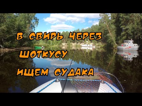 Видео: Свирь, обзорная рыбалка в устье Шоткусы.