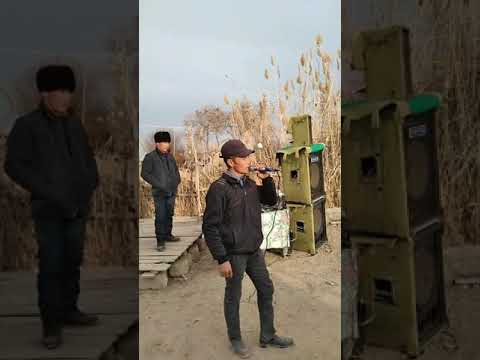 Видео: Елыубай караозек