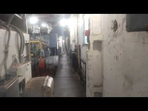 Видео: 5 ноября 2025 г.