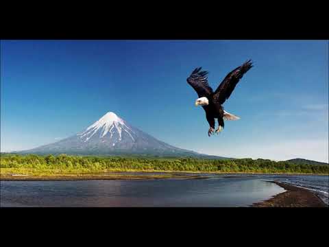 Видео: 24 января 2022 г.(1)