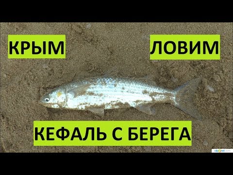 Видео: Крым. Рыбалка на море. Кефаль оснастка насадка.