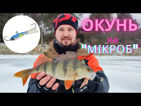 Видео: ОКУНІ на БАЛАНСИР "МІКРОБ". Супер риболовля на супер-снасть.