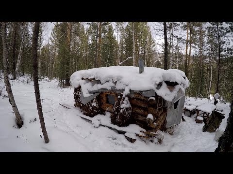 Видео: Охота на рябчика, нашел зимовье, проверка солонца.