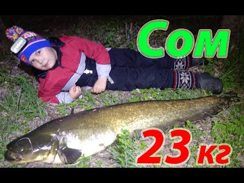 Видео: Ловля Сома 2021, май. Catfish