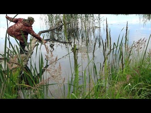 Видео: Крупный линь на поплавок на новую снасть по траве