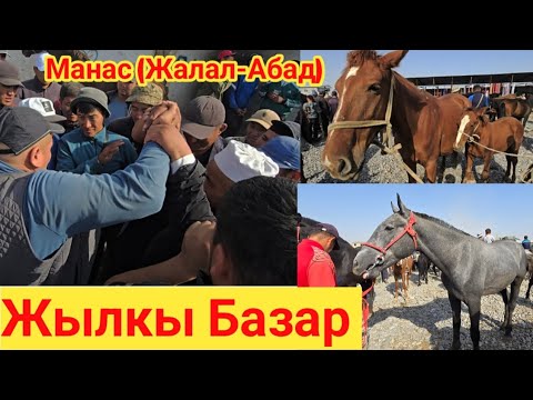 Видео: Жылкы Базар Манас (Жалал-Абад) 