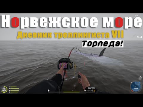 Видео: Дневник Троллингиста VII • Вот это торпеда! • Морской троллинг • Русская Рыбалка 4 • Норвежское Море