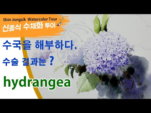 Видео: 신종식수채화투어[수국의 해부학]watercolor painting TV foundation 水彩画, 水彩畫, Aquarelle, акварельный, hydrangea