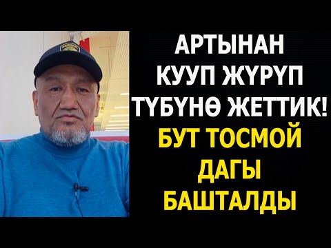 Видео: "Сүткорлордун" түбүнө жеттик! Кечки кабарлар 24 - октябрь