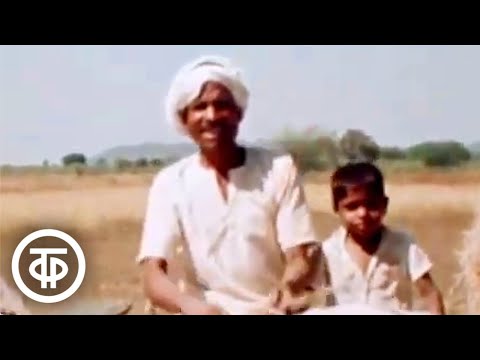 Видео: Индия: вчера, сегодня, завтра. Документальный фильм (1974)