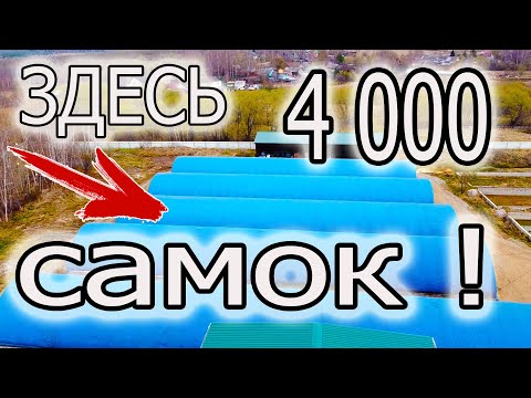 Видео: 4 К. САМОК! ЧТО ОН С НИМИ ДЕЛАЕТ?