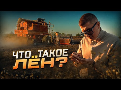 Видео: Завершили Пшеницу и перешли на ЛЕН! А что убирали между? 