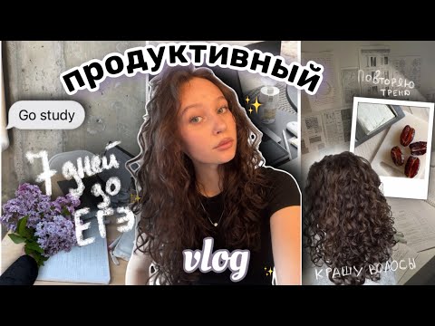 Видео: влог: до ЕГЭ неделя😱//подготовка и учеба📚//крашу волосы★彡