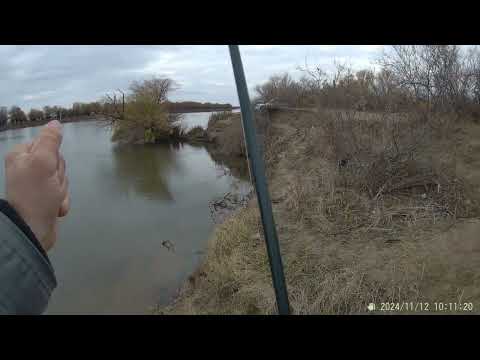 Видео: Рыбалка по судаку на р. Кигач.Судак есть . по качеству съёмки извиняюсь ,привыкаю к камере