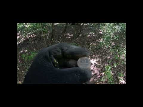 Видео: поиск закладок джидаев и остальных старых воров