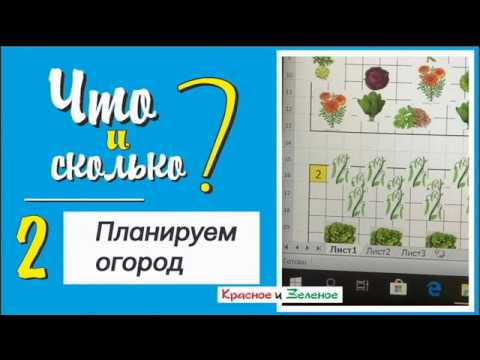 Видео: Планируем посадки в огороде. Удачные и плохие соседи на грядках. Ч2
