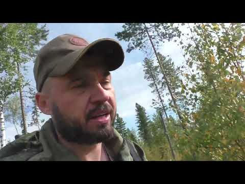 Видео: Хожу брожу. Осень 2025.