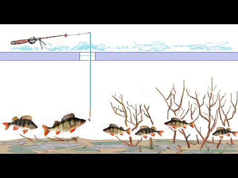 Видео: Блесна для ловли окуня при плохом клеве - блеснение, как мормышкой на коротких проводках