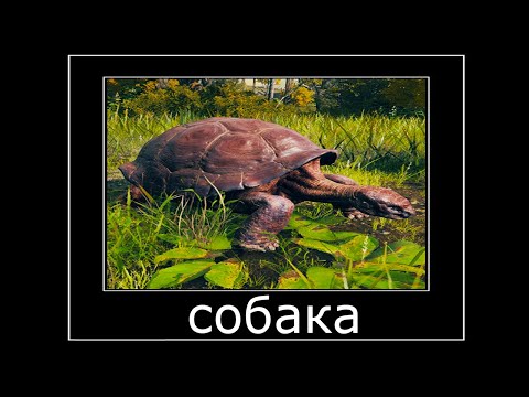 Видео: ШУСС И ПКАЧ В ELDEN RING/#4