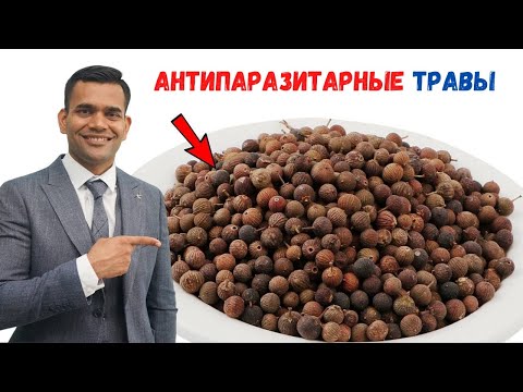 Видео: Лучшие Травы Для Уничтожения Паразитов - Доктор Вивек Джоши