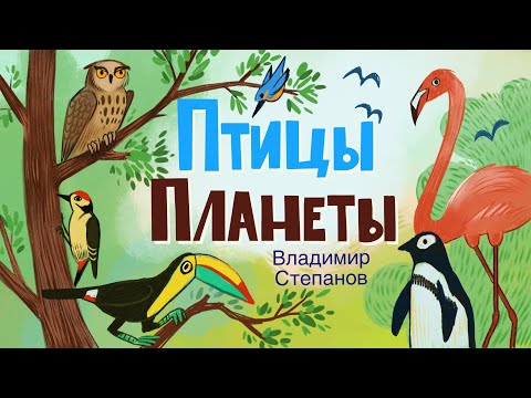 Видео: СТИХИ О ПТИЦАХ ПЛАНЕТЫ | Слушаем детские стихи ТУТ и попугай Ара и АИСТ и ТУКАН Владимир Степанов