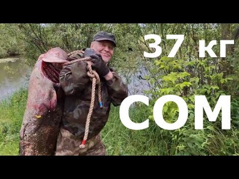Видео: СОМ 37кг Тяну, толкаю, чищу, разбираю...
