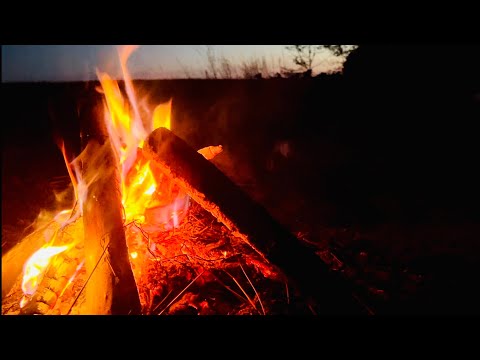 Видео: Рыбалка с ночевкой на реке Сейм в окрестностях города Батурин / Мото путешествие Honda CRF 300 L
