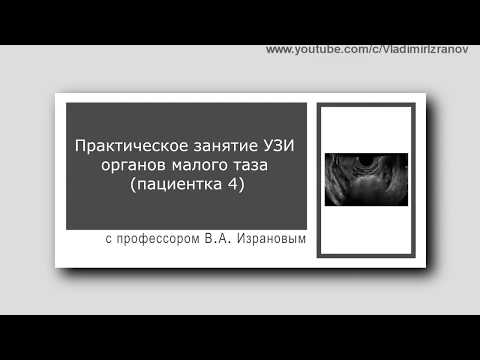 Видео: Практическое занятие: УЗИ органов малого таза.  Пациентка 4