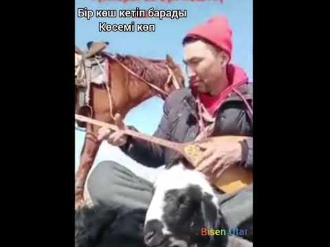 Видео: Шындықты айтқан,
Қазақ жігітінің толғауы.🤨🤔