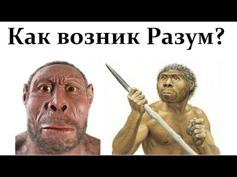 Видео: 🧔 Марков А. Homo Sapiens: происхождение Разума, Эмоций, Морали! Video ReMastered.