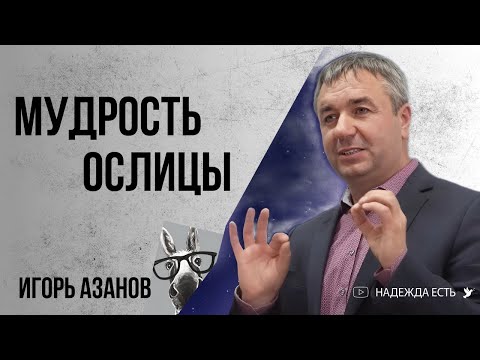 Видео: Азанов Игорь | Мудрость Ослицы | Проповедь